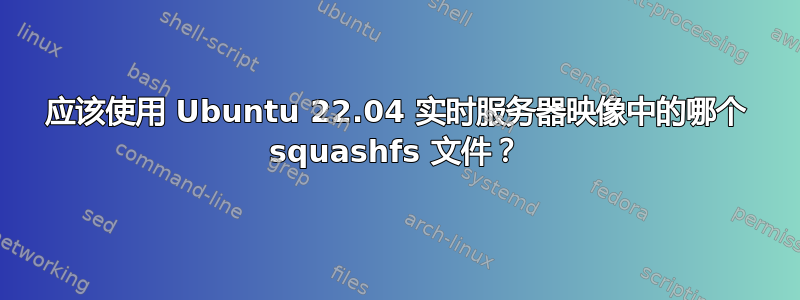 应该使用 Ubuntu 22.04 实时服务器映像中的哪个 squashfs 文件？