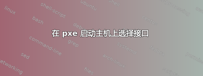 在 pxe 启动主机上选择接口