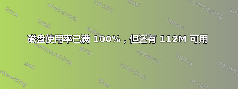 磁盘使用率已满 100%，但还有 112M 可用