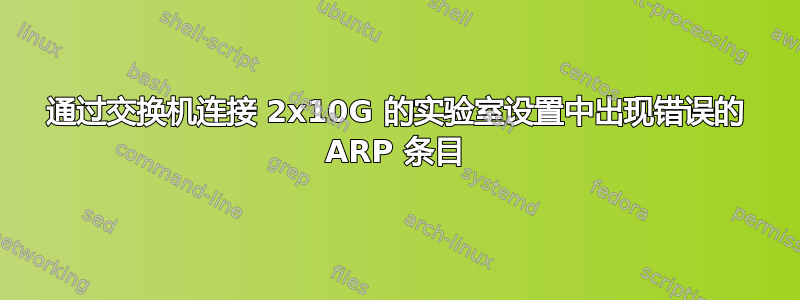通过交换机连接 2x10G 的实验室设置中出现错误的 ARP 条目