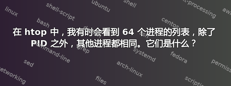 在 htop 中，我有时会看到 64 个进程的列表，除了 PID 之外，其他进程都相同。它们是什么？