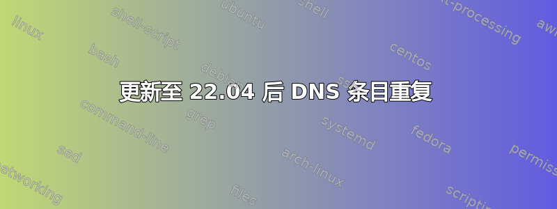 更新至 22.04 后 DNS 条目重复