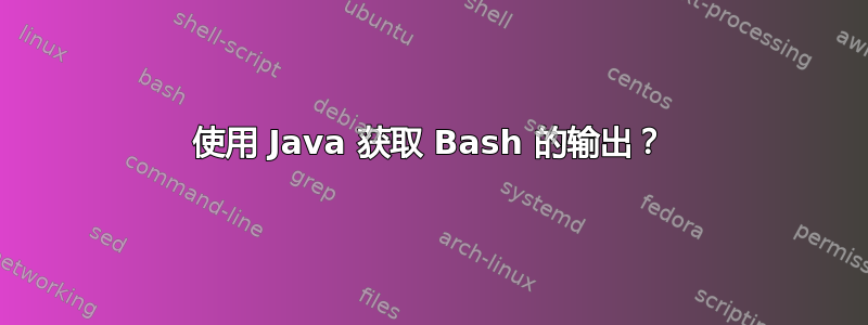 使用 Java 获取 Bash 的输出？