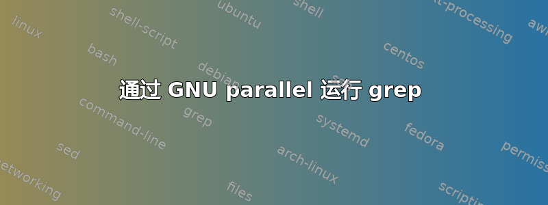 通过 GNU parallel 运行 grep