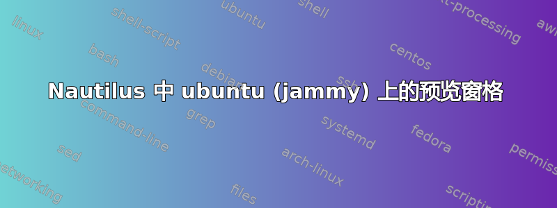 Nautilus 中 ubuntu (jammy) 上的预览窗格