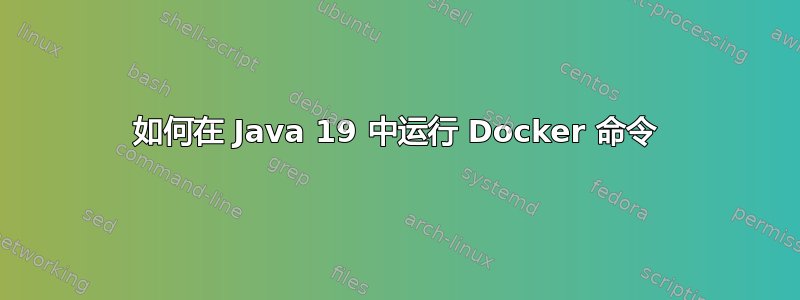 如何在 Java 19 中运行 Docker 命令