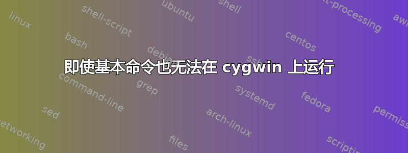 即使基本命令也无法在 cygwin 上运行 