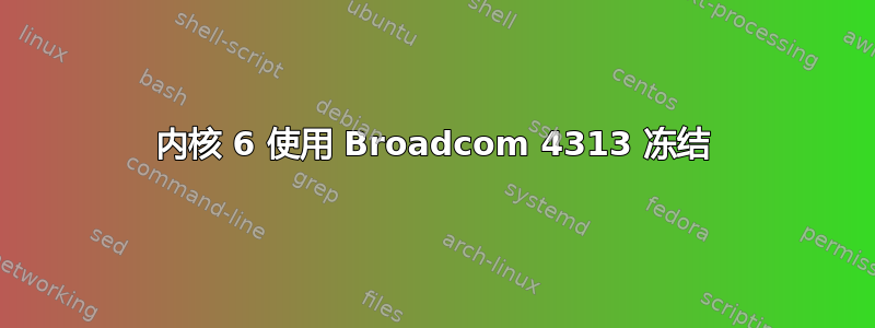 内核 6 使用 Broadcom 4313 冻结