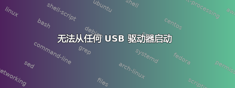 无法从任何 USB 驱动器启动 