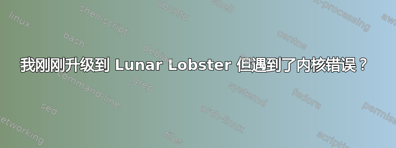 我刚刚升级到 Lunar Lobster 但遇到了内核错误？