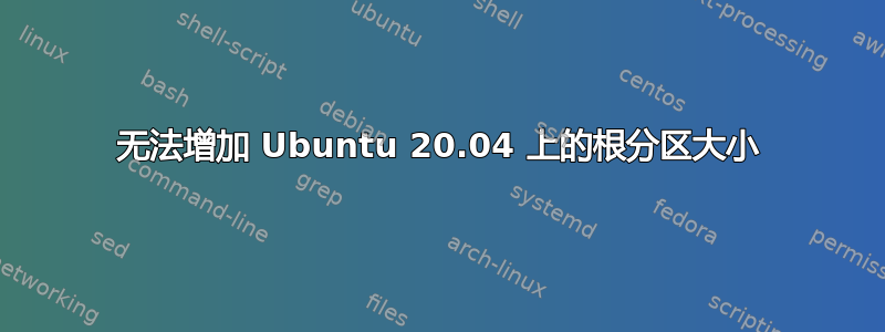 无法增加 Ubuntu 20.04 上的根分区大小