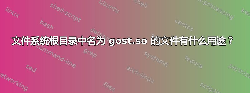 文件系统根目录中名为 gost.so 的文件有什么用途？