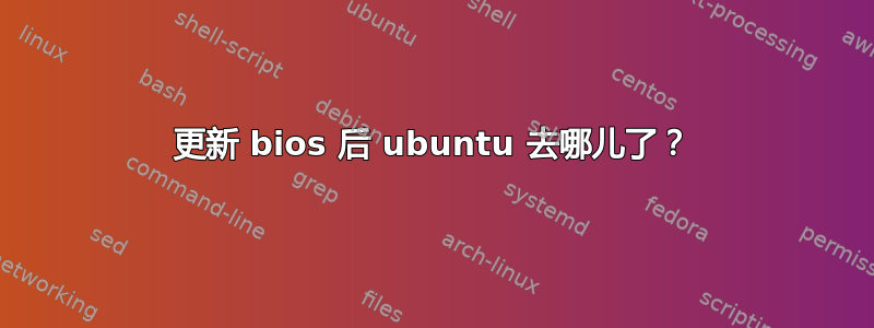 更新 bios 后 ubuntu 去哪儿了？