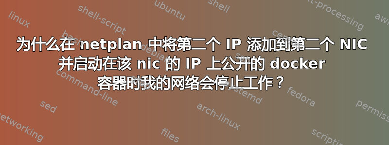 为什么在 netplan 中将第二个 IP 添加到第二个 NIC 并启动在该 nic 的 IP 上公开的 docker 容器时我的网络会停止工作？