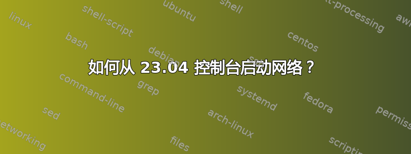 如何从 23.04 控制台启动网络？