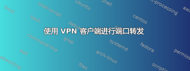 使用 VPN 客户端进行端口转发