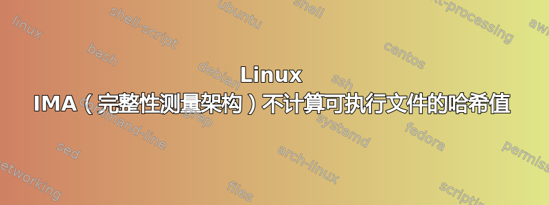 Linux IMA（完整性测量架构）不计算可执行文件的哈希值