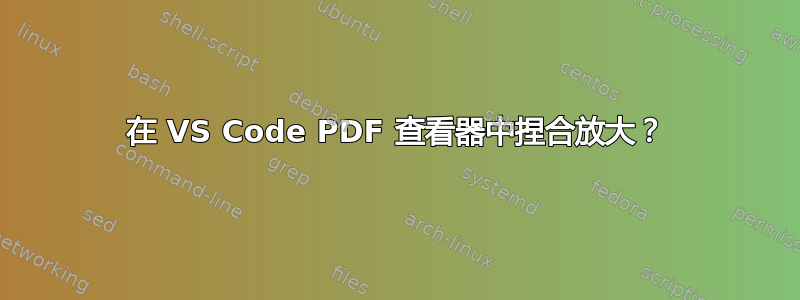 在 VS Code PDF 查看器中捏合放大？