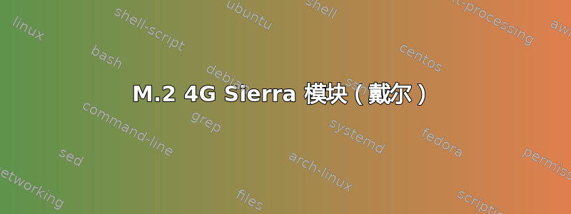 M.2 4G Sierra 模块（戴尔）