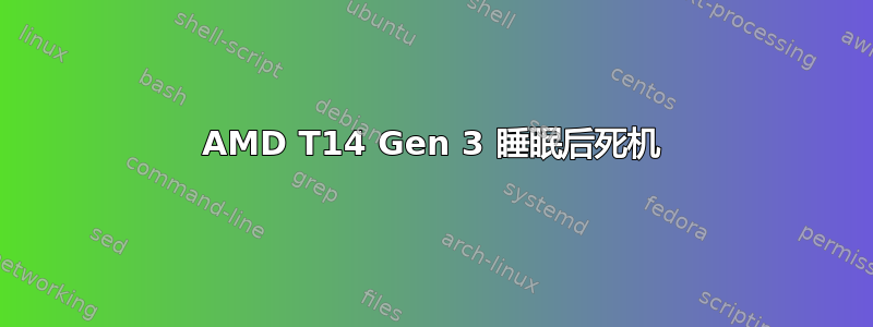 AMD T14 Gen 3 睡眠后死机