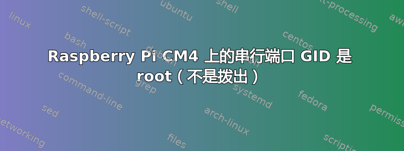 Raspberry Pi CM4 上的串行端口 GID 是 root（不是拨出）