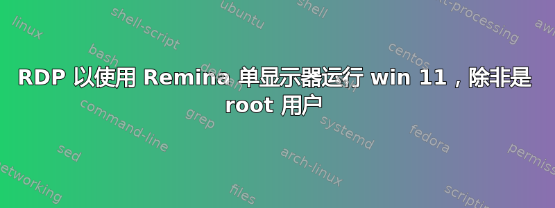 RDP 以使用 Remina 单显示器运行 win 11，除非是 root 用户