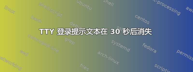 TTY 登录提示文本在 30 秒后消失