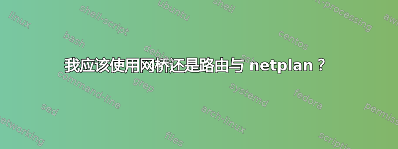 我应该使用网桥还是路由与 netplan？