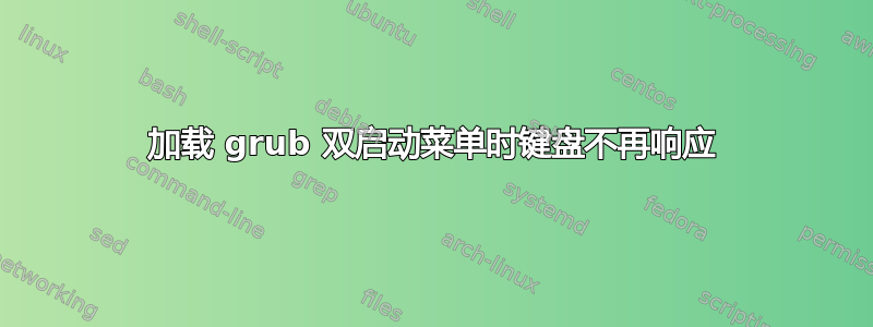 加载 grub 双启动菜单时键盘不再响应