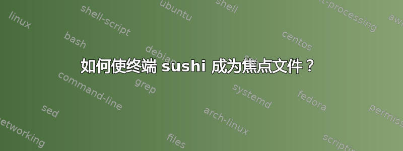 如何使终端 sushi 成为焦点文件？