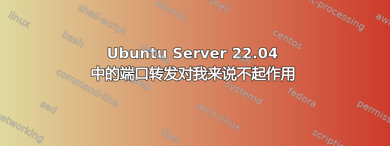 Ubuntu Server 22.04 中的端口转发对我来说不起作用