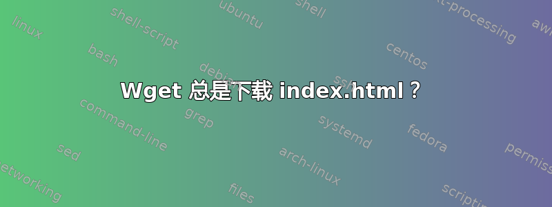 Wget 总是下载 index.html？