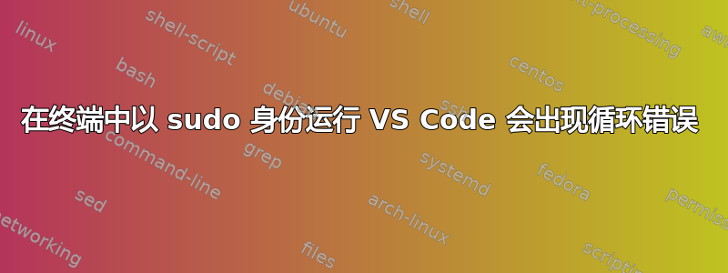 在终端中以 sudo 身份运行 VS Code 会出现循环错误