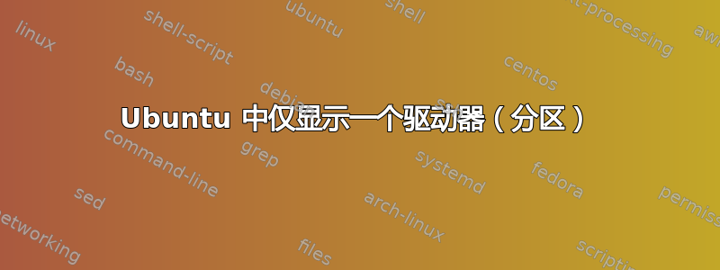 Ubuntu 中仅显示一个驱动器（分区）