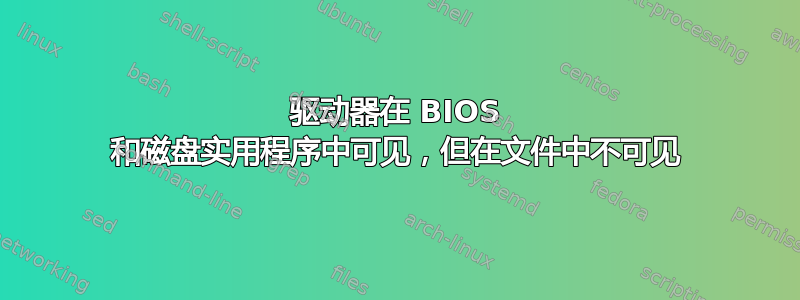 驱动器在 BIOS 和磁盘实用程序中可见，但在文件中不可见