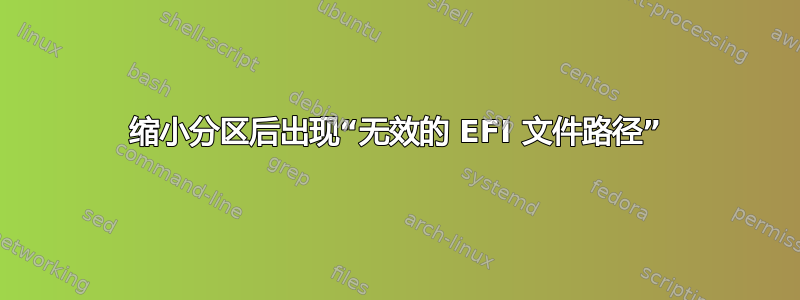 缩小分区后出现“无效的 EFI 文件路径”