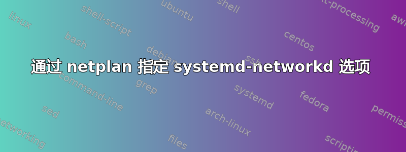 通过 netplan 指定 systemd-networkd 选项