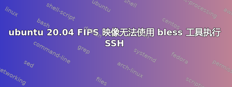 ubuntu 20.04 FIPS 映像无法使用 bless 工具执行 SSH