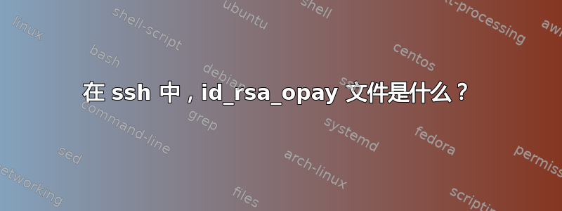 在 ssh 中，id_rsa_opay 文件是什么？