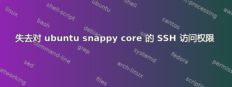 失去对 ubuntu snappy core 的 SSH 访问权限