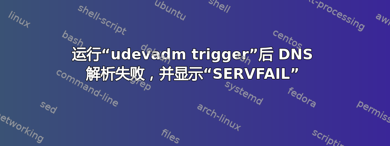 运行“udevadm trigger”后 DNS 解析失败，并显示“SERVFAIL”