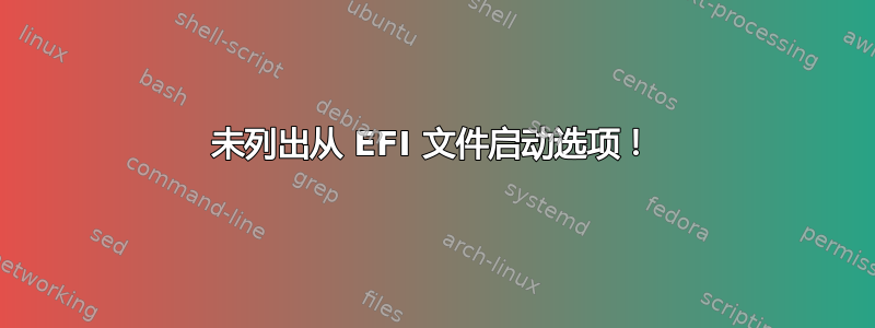 未列出从 EFI 文件启动选项！