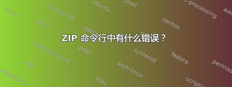 ZIP 命令行中有什么错误？