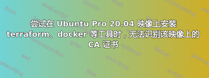 尝试在 Ubuntu Pro 20.04 映像上安装 terraform、docker 等工具时，无法识别该映像上的 CA 证书