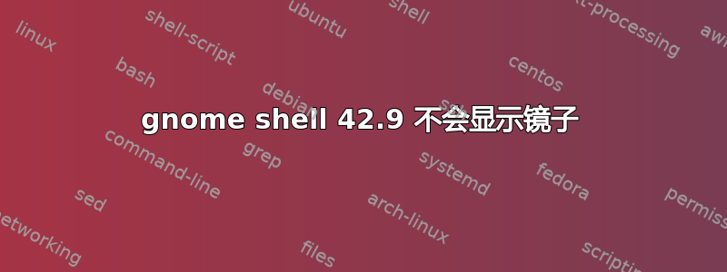 gnome shell 42.9 不会显示镜子