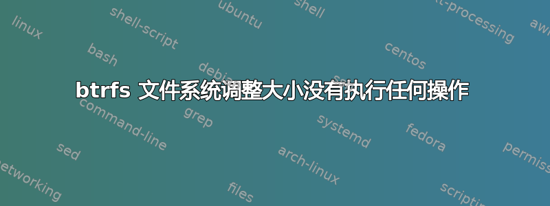 btrfs 文件系统调整大小没有执行任何操作