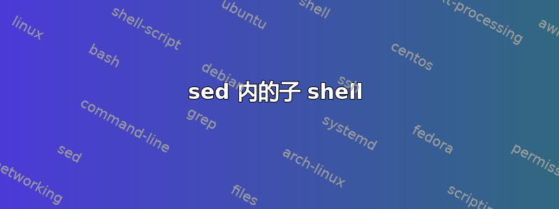 sed 内的子 shell