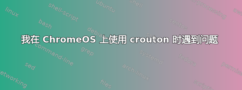 我在 ChromeOS 上使用 crouton 时遇到问题