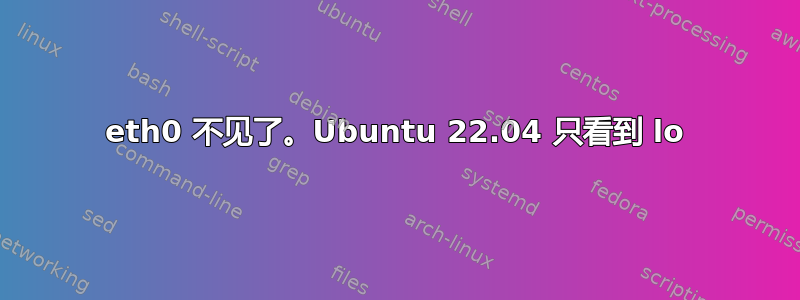 eth0 不见了。Ubuntu 22.04 只看到 lo