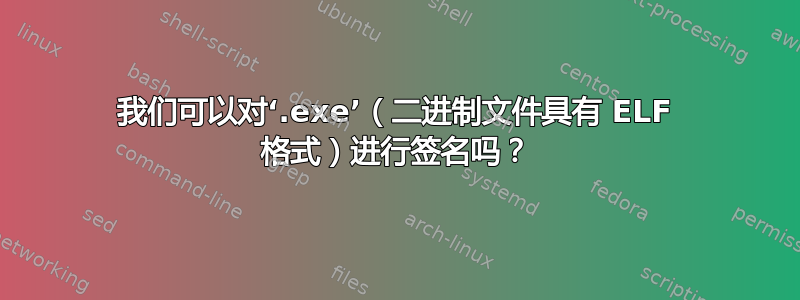 我们可以对‘.exe’（二进制文件具有 ELF 格式）进行签名吗？